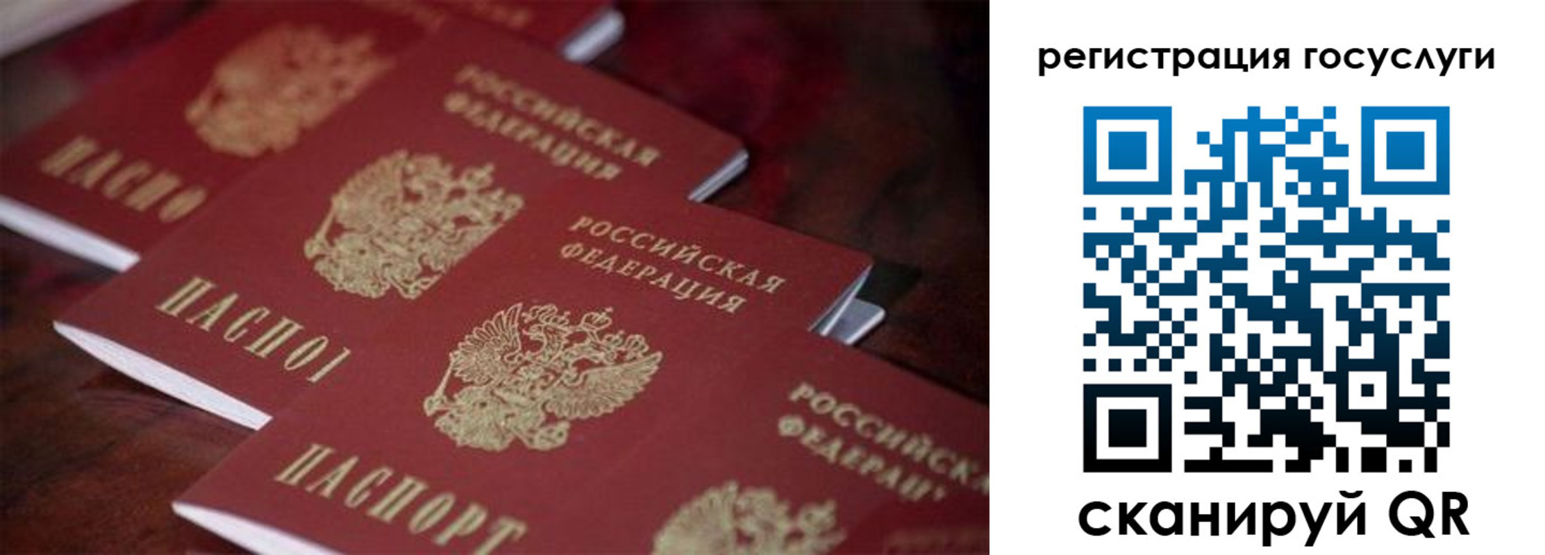 где прописаться в Елабуге